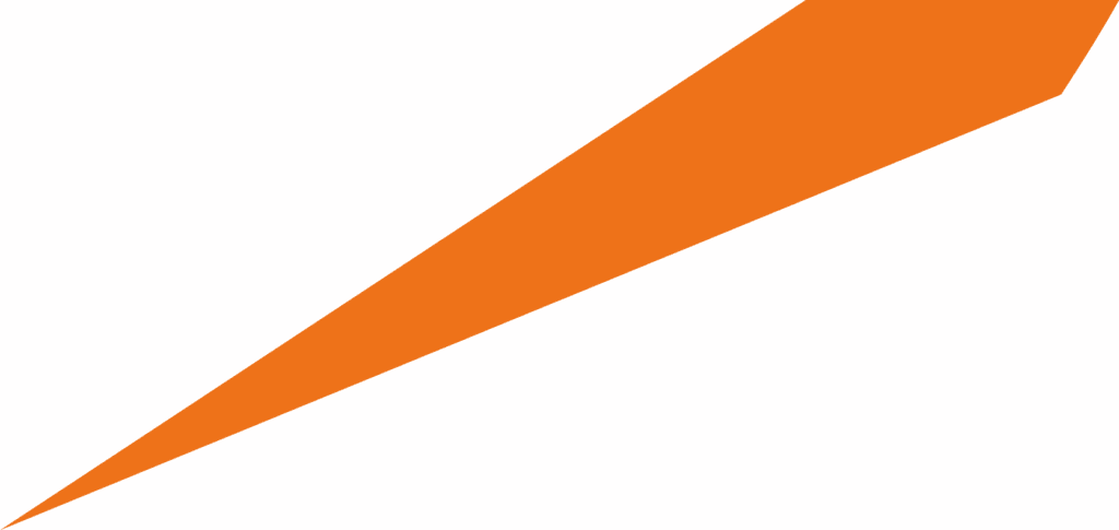Icon Vision