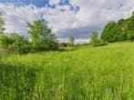 Bild - Oase der Ruhe mit Ausbaumöglichkeit – Grundstück für ein Leben im Einklang mit der Natur